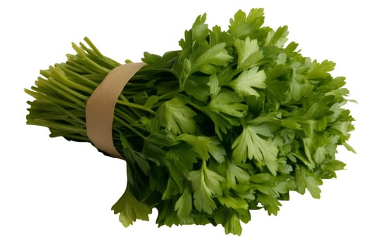 A neatly bundled bunch of fresh parsley, perfect for adding a burst of flavor and nutrition to meals. Isolated on white background.