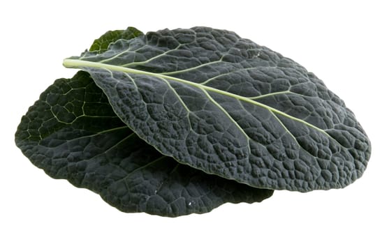 Close up of dark green kale leaves, highlighting their textured surface and nutritional value. Isolated on white background.
