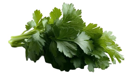 A vibrant bunch of fresh parsley leaves with a rich green color, ideal for culinary use and garnishing dishes. Isolated on white background.