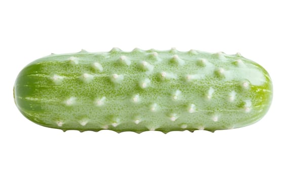 A fresh green cucumber displayed on a white background, highlighting its crisp texture and vibrant color. Isolated on white background.