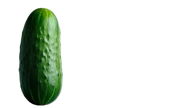 A fresh cucumber placed on a dark background with ample copy space, perfect for adding text or design elements. Isolated on white background.