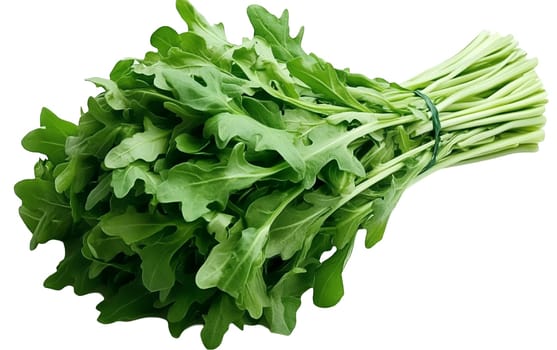 A fresh bundle of arugula on a white background, perfect for culinary and health focused designs with copy space. Isolated on white background.