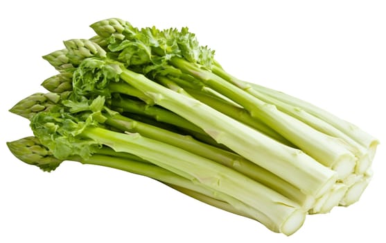 A bunch of fresh green asparagus stalks, showcasing their crisp texture and vibrant color. Isolated on white background.