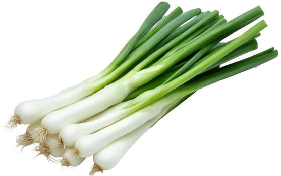 A bunch of fresh spring onions showcasing their long green stems and white bulbs, perfect for salads. Isolated on white background.