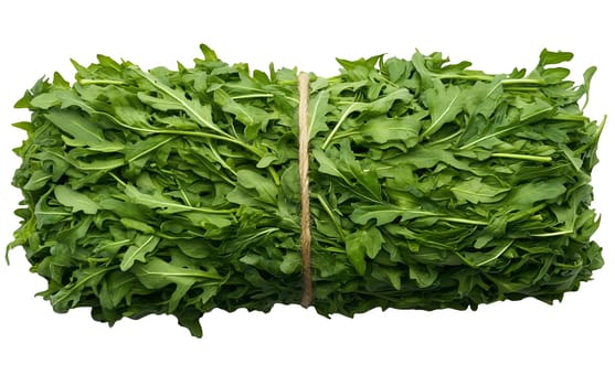 A fresh bunch of arugula tied with twine on a white background, highlighting its vibrant green leaves with copy space. Isolated on white background.
