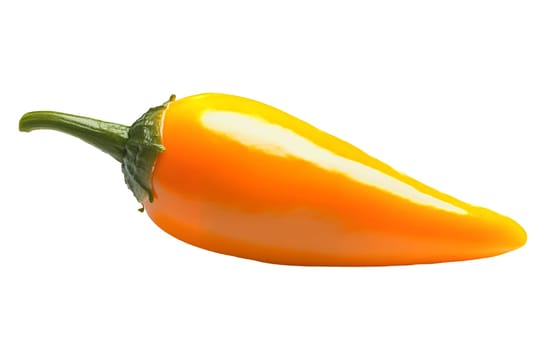 A fresh yellow chili pepper isolated on a white background, emphasizing its vibrant color and spicy potential. Isolated on white background.
