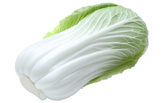 Close up of napa cabbage with tender white ribs and crisp green leaves, ideal for Asian cuisine. Isolated on white background.