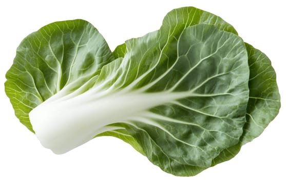 Green leafy bok choy with vibrant texture, perfect for stir fry and Asian dishes. Isolated on white background.