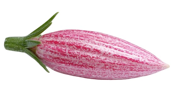 A vibrant, striped eggplant blossom with a unique pink hue, showcasing natural beauty. Isolated on white background.