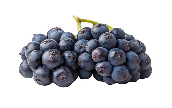 A cluster of blue grapes, showcasing their rich color and juicy texture, ideal for winemaking. Isolated on white background.