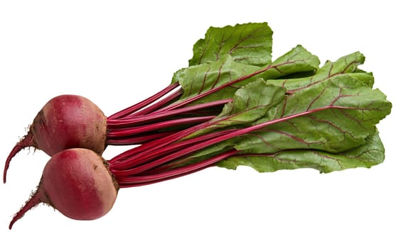 Fresh beets with vibrant green leaves, emphasizing their natural and nutritious appeal. Isolated on white background.