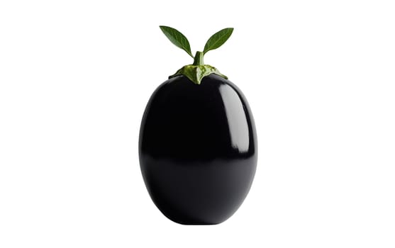 A glossy white eggplant with a green stem and leaves, standing upright against a dark background. Isolated on white background.
