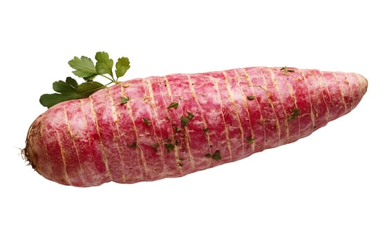 Close up of a wrapped red root vegetable with herbal garnish, ready for cooking. Isolated on white background.