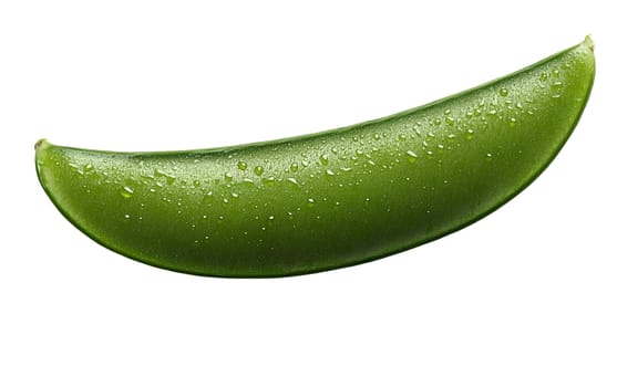 A single fresh snow pea with water droplets on its surface, isolated on a white background. Isolated on white background.