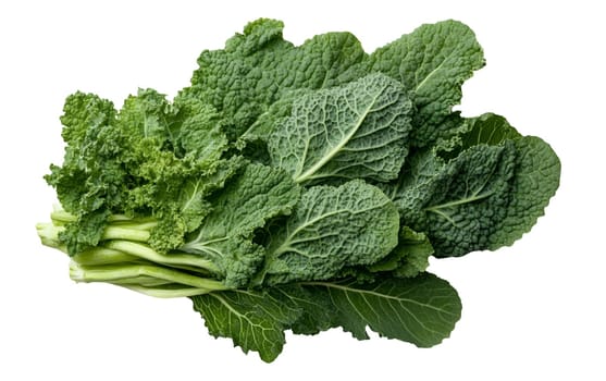 A bunch of fresh kale leaves with vibrant green color and curly texture. Isolated on white background.