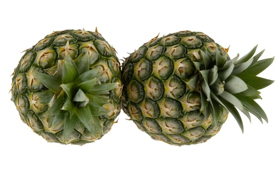 Two fresh pineapples with green crowns displayed against a white background, showcasing their textured surfaces. Isolated on white background.