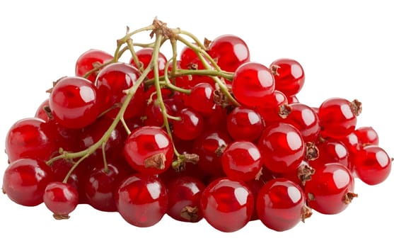 A vibrant cluster of red currants on a white background, ideal for culinary and decorative uses with copy space. Isolated on white background.