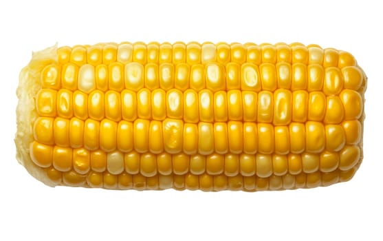 A close up of fresh corn on the cob, showcasing its vibrant yellow kernels. Isolated on white background.