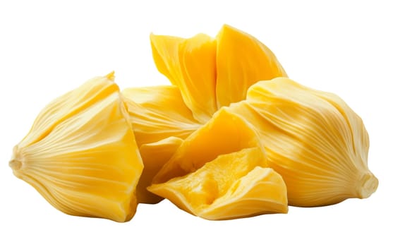 A collection of jackfruit segments, highlighting their fibrous yellow flesh and tropical appeal. Isolated on white background.