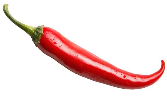 A single fresh red chili pepper with dewdrops, showcasing its vibrant color and spiciness. Isolated on white background.