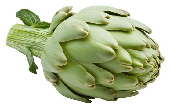 A close up of a fresh, vibrant green artichoke with detailed textures and natural beauty. Isolated on white background.