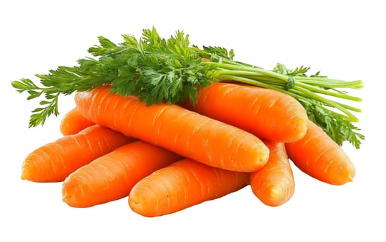 A bunch of fresh carrots with green tops, showcasing their natural color and texture on a white background. Isolated on white background.