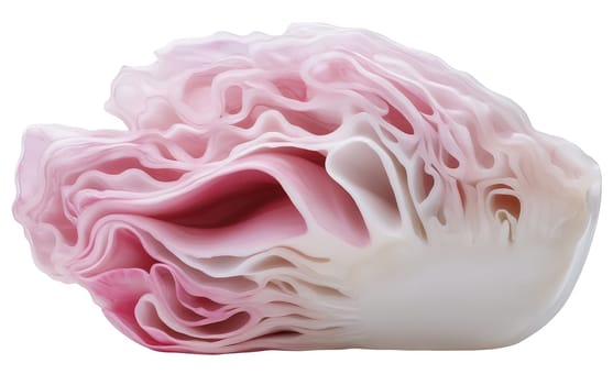 Delicate pink cabbage slices showcasing a beautiful, wavy texture, ideal for culinary decoration. Isolated on white background.