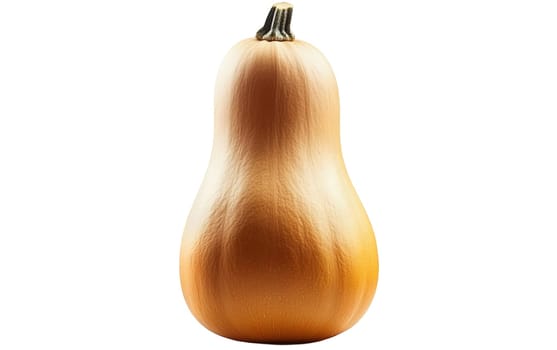 A whole butternut squash with a smooth surface, standing upright on a white background. Isolated on white background.