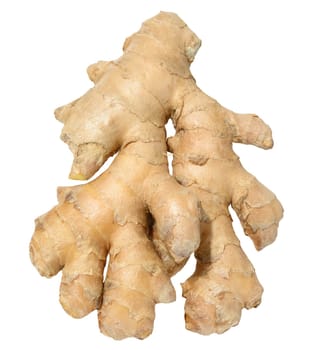 Ginger root on isolated background, close up