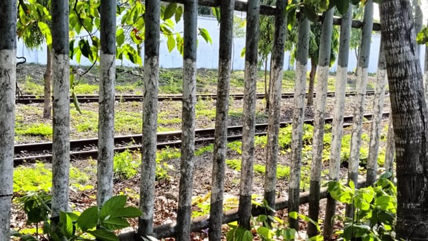 View of rustic train tracks through an aged metal fence, surrounded by lush greenery and trees, creating a peaceful and serene atmosphere.