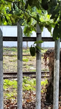 View of rustic train tracks through an aged metal fence, surrounded by lush greenery and trees, creating a peaceful and serene atmosphere.