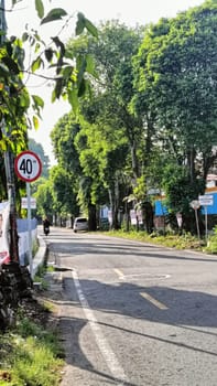 A picturesque rural road lined with lush green trees and a visible speed limit sign. The serene environment offers a peaceful drive and beautiful natural scenery.