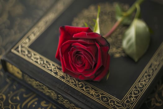 Simple background with a single rose placed on a Quran, symbolizing devotion, love, and reverence for spirituality.