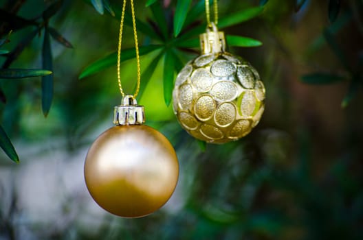 Golden Christmas balls with customizable space for Christmas wishes with pine Christmas trees background.