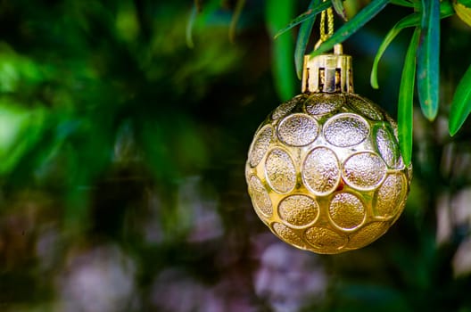 Christmas ball with customizable space for Christmas wishes with blurred Christmas trees background. Christmas celebration with copy space.