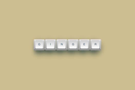 Ginger text on a 3d keyboard button with shadow, 3d Illustration