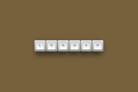 Longan text on a 3d keyboard button with shadow, 3d Illustration