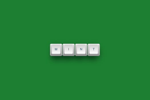 Mint text on a 3d keyboard button with shadow, 3d Illustration