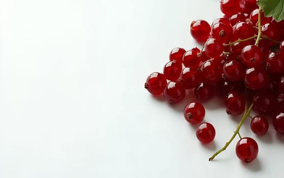 A cluster of red currants on a white background, offering a fresh, tangy addition with ample copy space for text.