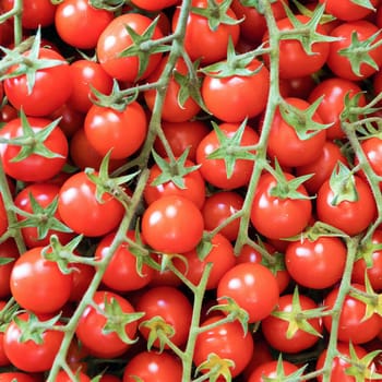 Cherry tomatoes background. Healthy food.