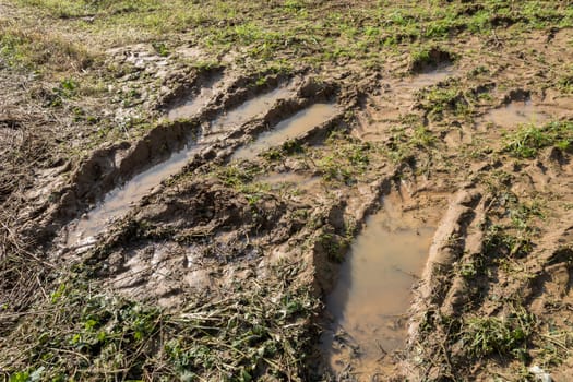 Dirty road with mud, grass and tracks between fields and fields in autumn.