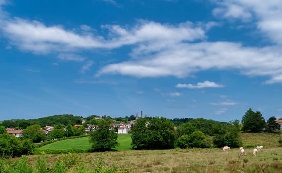 A field with cows grazing and a village in the background. The sky is blue with some clouds. Pyrenees, France