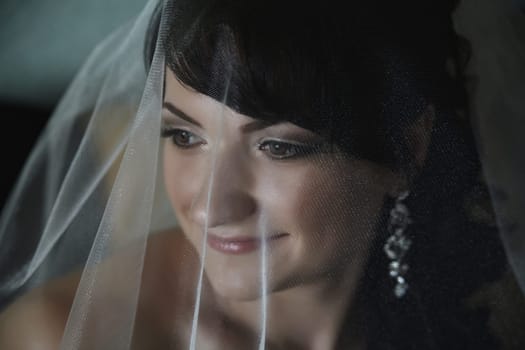 A breathtakingly stunning bride gazes softly and dreamily through her delicate, elegant veil, radiating beauty