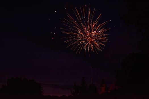A colorful fireworks in the black night sky with the silhouette of a tree and a castle  in the foreground