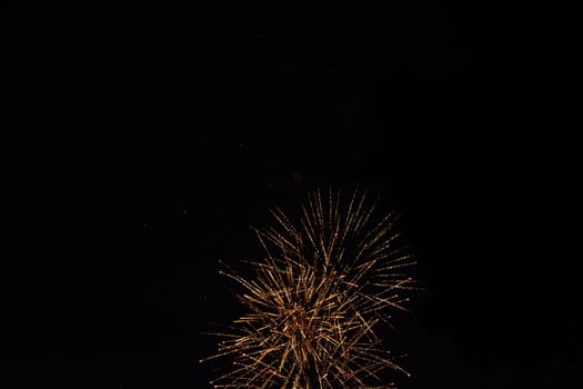 A colorful fireworks in the black night sky
