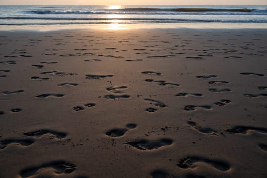 Many footprints in the wet sand by the sea, in the evening light with sea and sunlight