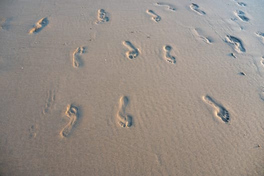 Many footprints in the wet sand by the sea, in the evening light