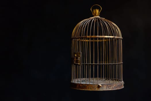The birdcage hangs quietly, its door fully open, suggesting freedom. The metal bars are aged and worn, contrasting with the deep, shadowy background.