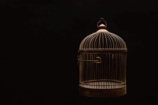 The birdcage stands empty with its door fully open, suggesting a message of freedom and opportunity. Its metallic structure contrasts against the dark background, enhancing its significance.