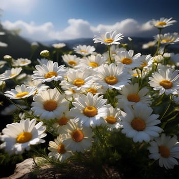 chamomile flowers of Chamaemelum, AI generated image